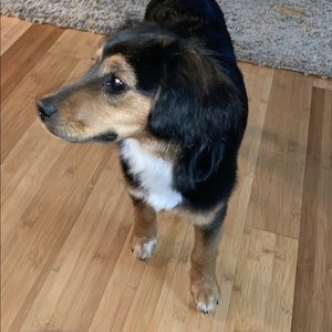 Meet your Posher, Natasha